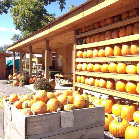 Wednesday October 22