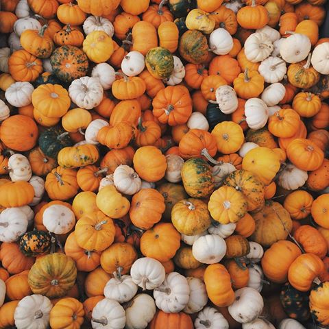 Thursday October 16