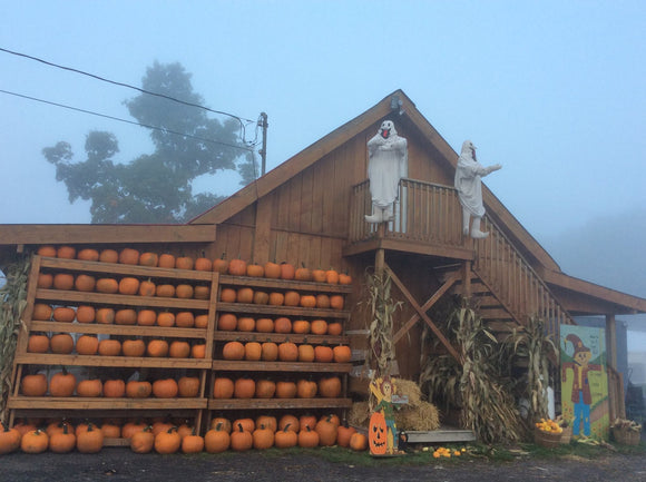 Saturday October 25