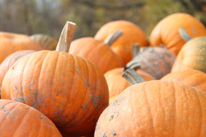 Thusday October 9